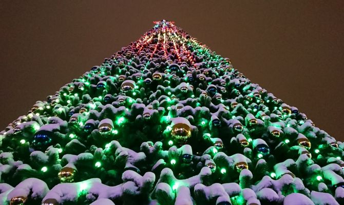 Исследователи выяснили, сколько россиян хранят новогоднюю красавицу до лета