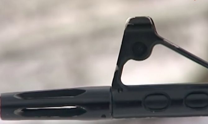 Жителя Новомосковске подозревают в убийстве косули