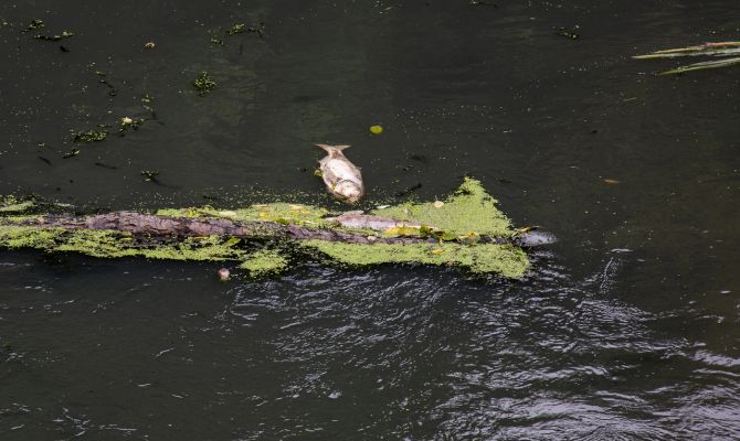 Суд оштрафовал «Суворовское водопроводно-канализационное хозяйство» на 106 миллионов рублей