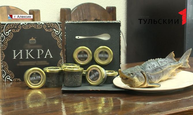 Черная икра: на ферме в Алексине производят рыбный деликатес