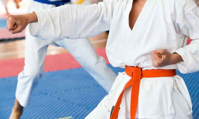 Тульская область стала лучшей на Кубке России по каратэ 