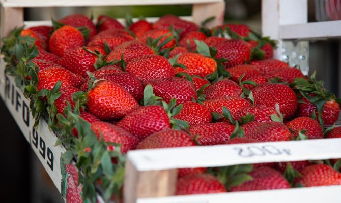 Тульский Роспотребнадзор прокомментировал информацию о продаже клубники с опасными пестицидами