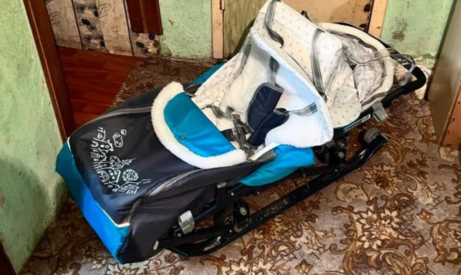 Жительница Богородицка украла из подъезда многоквартирного дома санки-коляску