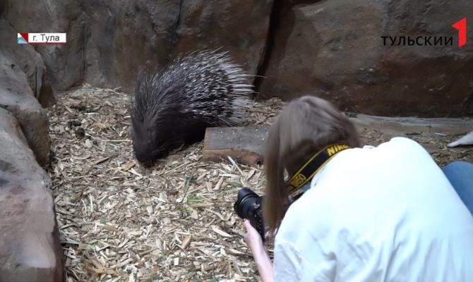 Фотографии тулячки опубликовал National Geografic