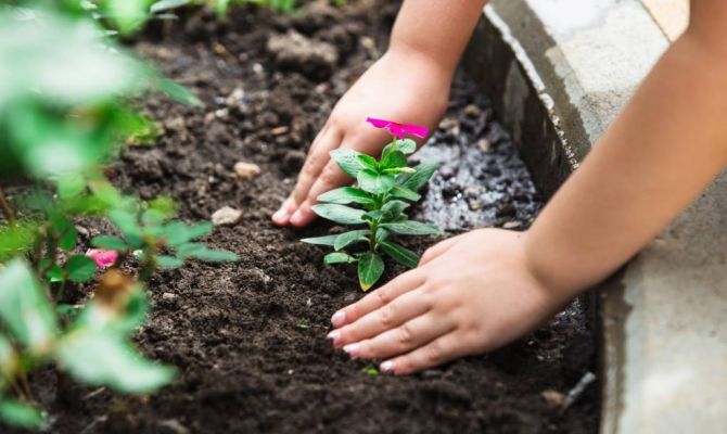 Туляки могут поучаствовать в экологической акции 2 мая