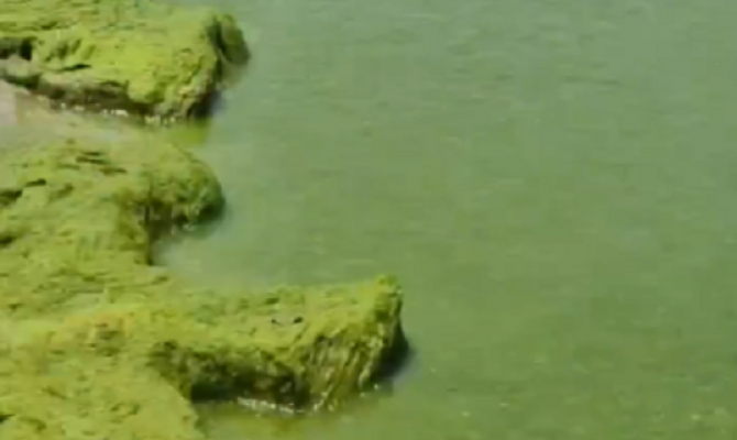 Отдыхающих ужаснул цвет моря в Анапе