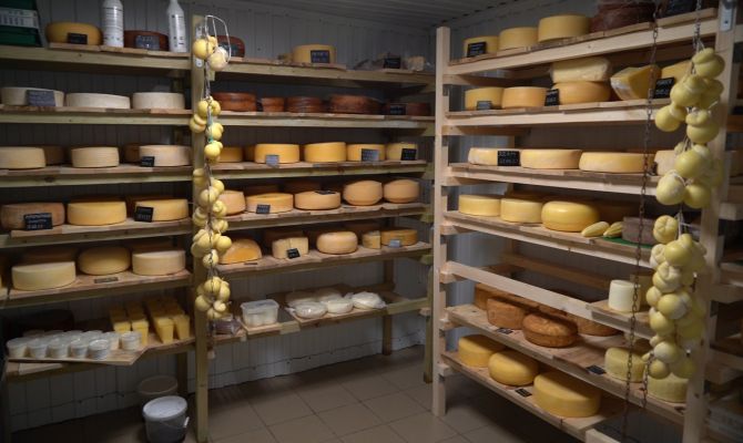 Молодые предприниматели Тульской области могут получить 300 тысяч рублей