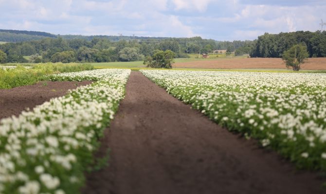 Туристические объекты разрешат строить на сельхозземлях