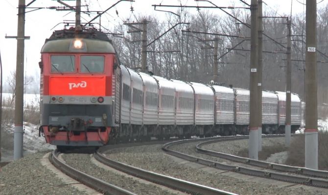 Домашних животных в поездах разрешили перевозить в купе