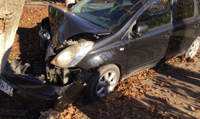 В Алексине Nissan Note слетел с дороги и врезался в дерево