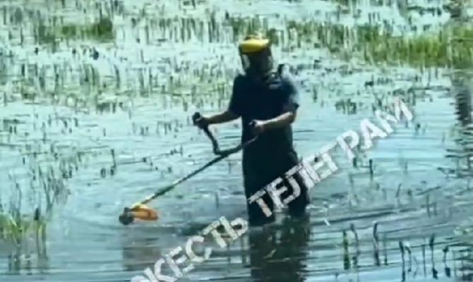 В Туле косильщик начал косить воду