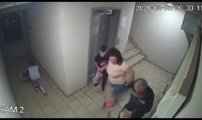 В Узловой шарпей набросился на ребенка в подъезде дома: хозяин собаки заплатит компенсацию