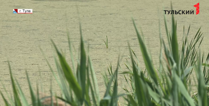 В тульском селе Высокое благоустроят местный водоем