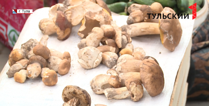 Двое туляков отравились грибами