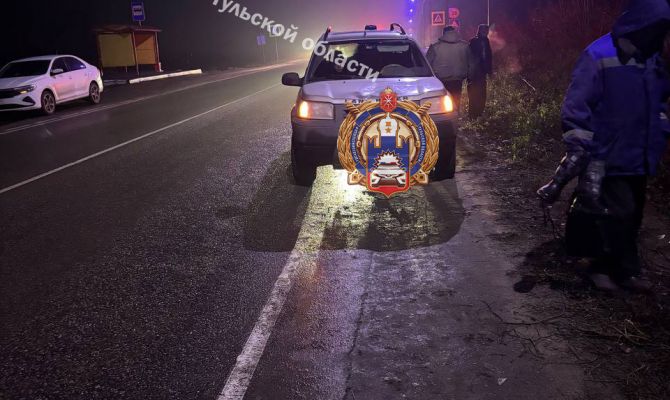 На автодороге "Захаровка-Советск" под Тулой 51-летний мужчина сбил ребенка