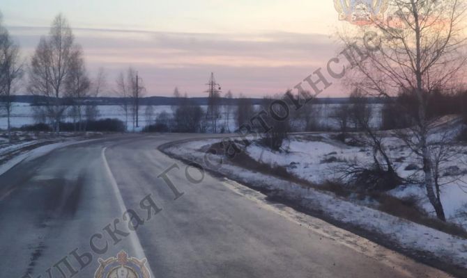 Пострадала девочка-подросток: в Щекинском районе иномарка врезалась в дерево