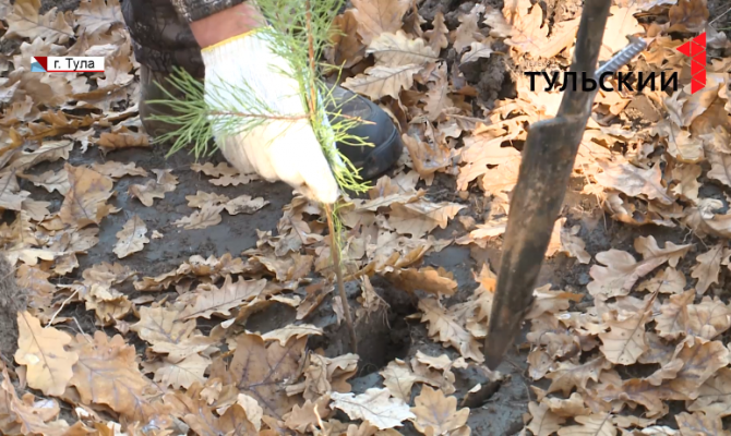 Недалеко от Тулы прошла акция "Зелёный щит"