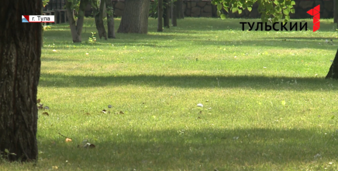 Тула «позеленела» на 4 000 квадратных метра