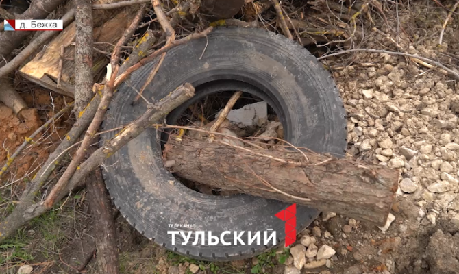 Под Тулой частник превратил свой дачный участок в свалку