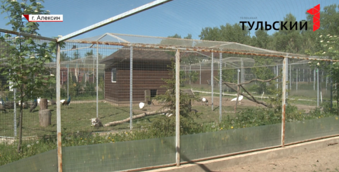 На алексинской зооферме родились медвежата и верблюжонок