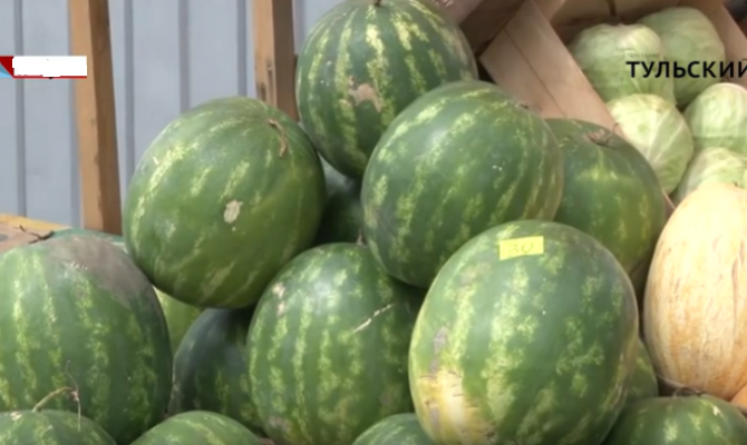 Как тулякам выбрать хороший арбуз 