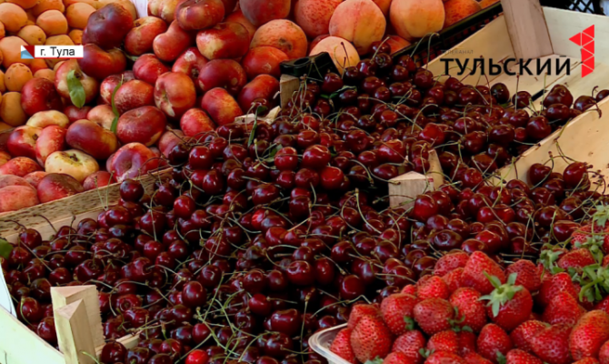 Минсельхоз хочет урегулировать сбор грибов и диких ягод