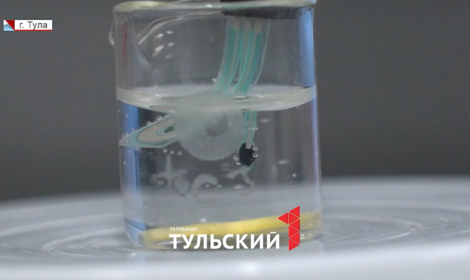 Тульские студенты создали экобатарейку размером с арбузное семечко