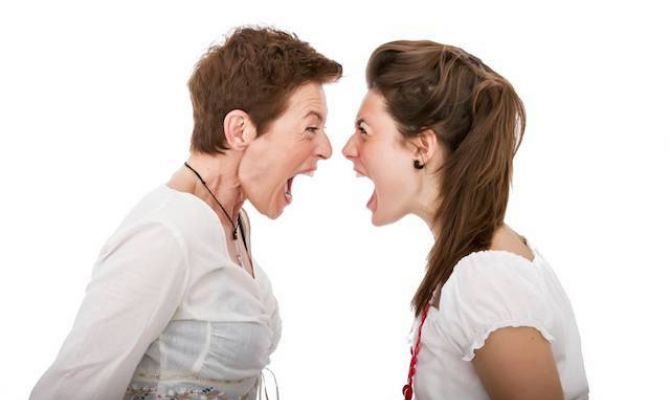 Двух жительниц Кимовского района осудили за оскорбления