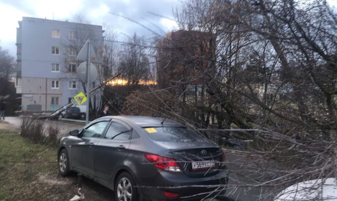 Циклон «Бенедикт» будет хозяйничать в Тульской области до вечера 30 ноября