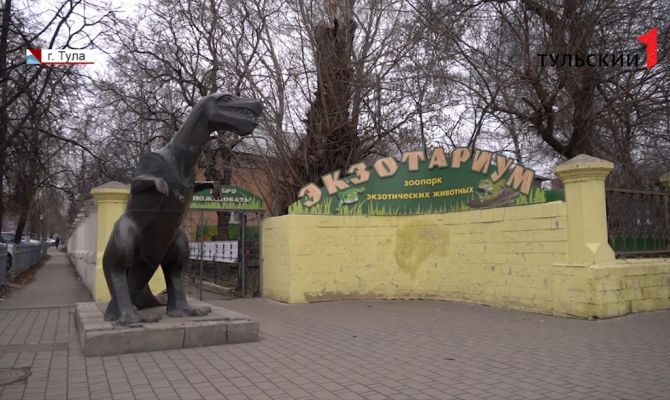 Кто такие слепушонки: в Тульском экзотариуме на свет появились необычные малыши