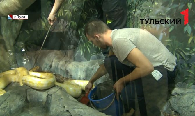 Кому вместо службы в армии предоставят альтернативу