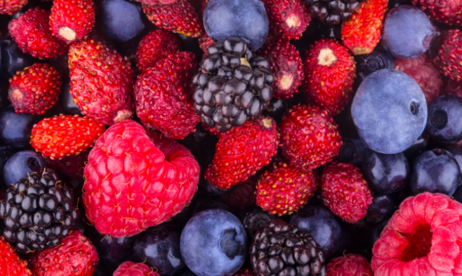 «Доступные ягоды» могут появиться на российских прилавках зимой