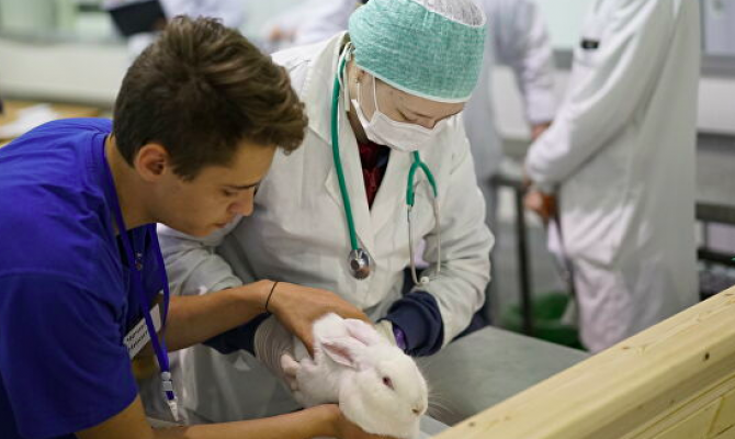 Россельхознадзор будет проводить контрольные закупки лекарств для животных