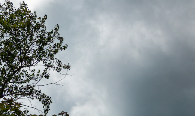 Погода опередила календарь на 25 суток