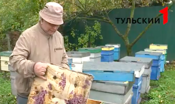 Тульские пчеловоды готовят ульи к зиме