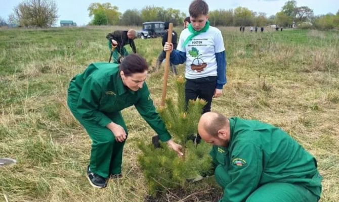 В Чернском районе появились "зеленые памятники"
