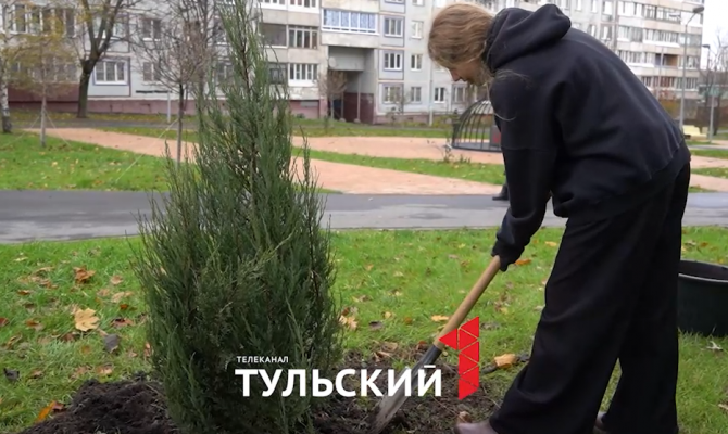 Тульские школьники высадили саженцы можжевельника в зоне тишины Молодежного бульвара
