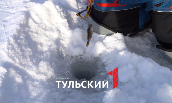 Чемпионы России по рыбной ловле разрушили стереотип о зависимости поклевки от погоды