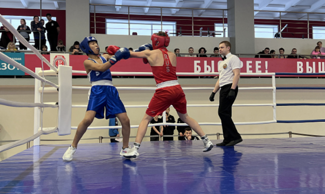 В Щекине стартовали Чемпионат и Первенство Тульской области по боксу