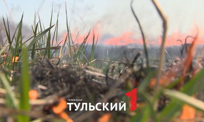 В Тульской области начался пожароопасный сезон: как правильно избавиться от сухой травы