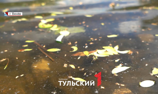Названа причина образования пленки на воде в Веневке