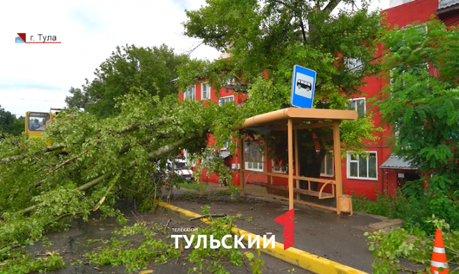 По Туле прошел ураган «Эдгар»: сколько деревьев не выдержали непогоду
