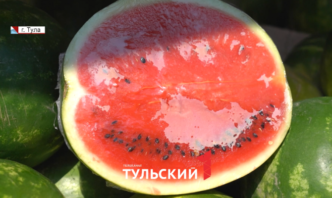 Туляков предупредили об опасности покупки арбузов вдоль дорог