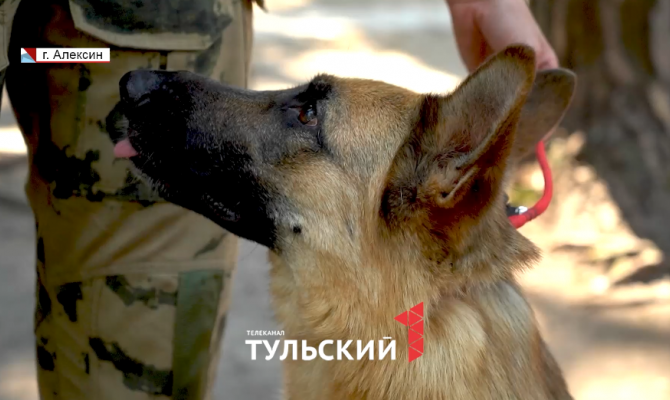 Росгвардейцы научили детей в тульских лагерях дрессировать собак