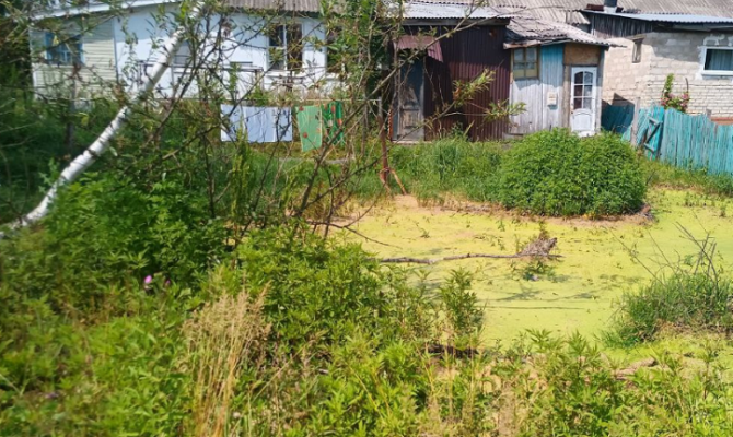 В 2025 году у россиян начнут отбирать заброшенные дачи