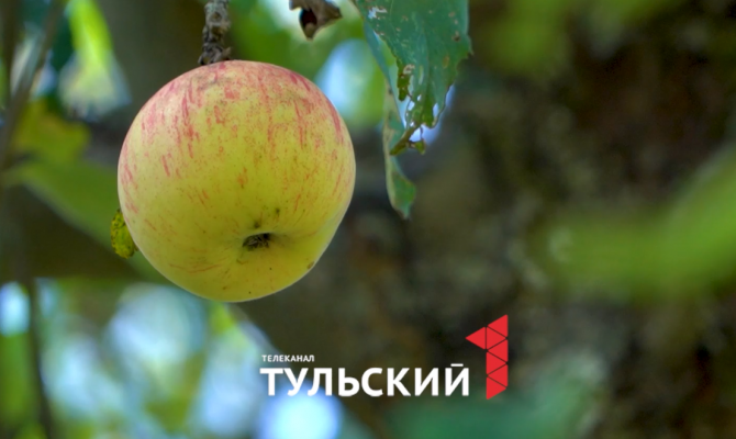 Как праздновали Яблочный Спас в семье Толстого