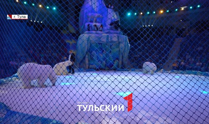 В разгар жары в Тульском цирке показали ледовое шоу с белыми медведями