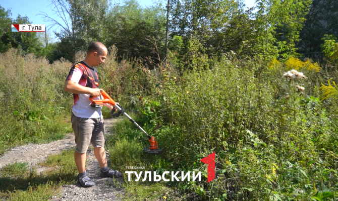 Трава с человеческий рост выросла в тульском дворе: кто ответственен за ее покос