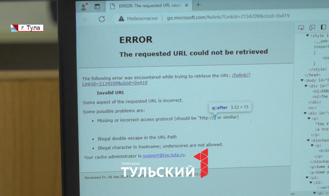 Программист из Тулы рассказал о «первом обнаруженном баге в природе»