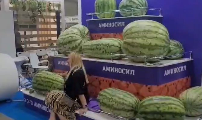 Тулячка представит гигантский арбуз на Международной выставке